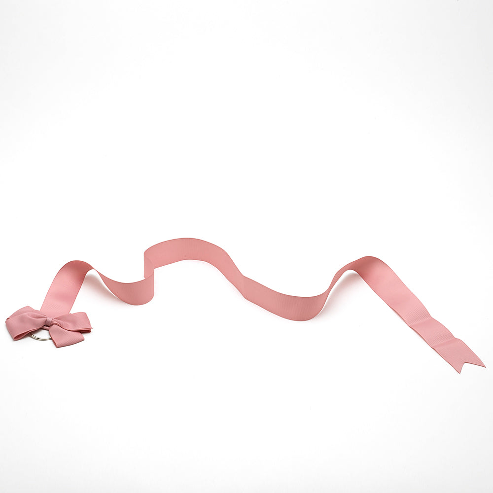 RIBBON BOW HOLDER